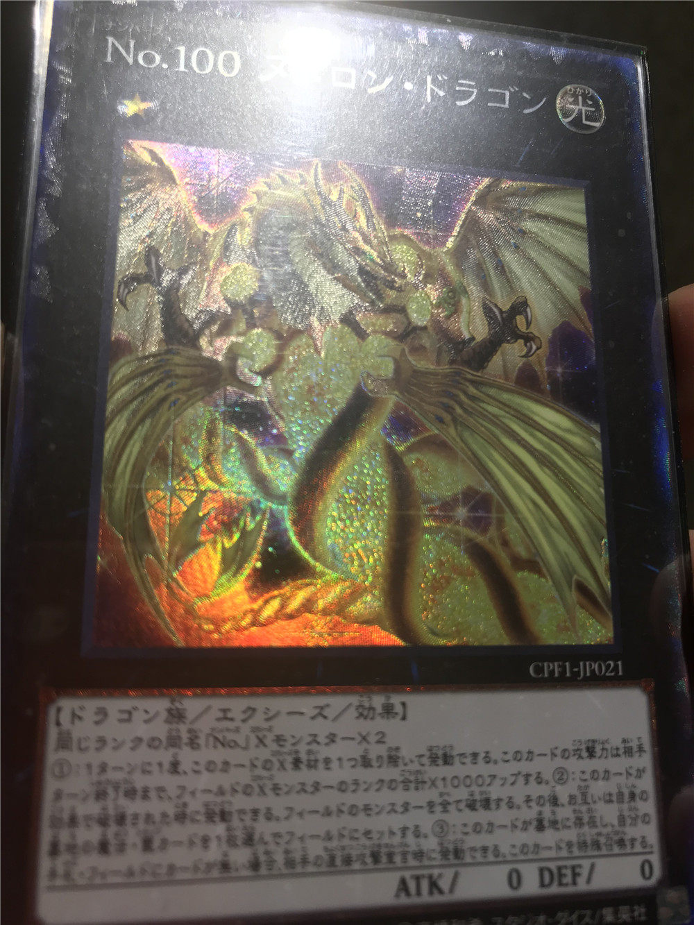 no100 源数龙