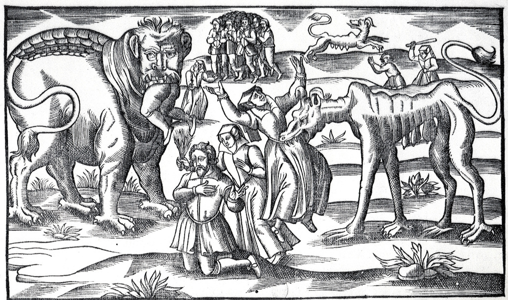 这还真是……讽刺和攻击性拉满（）