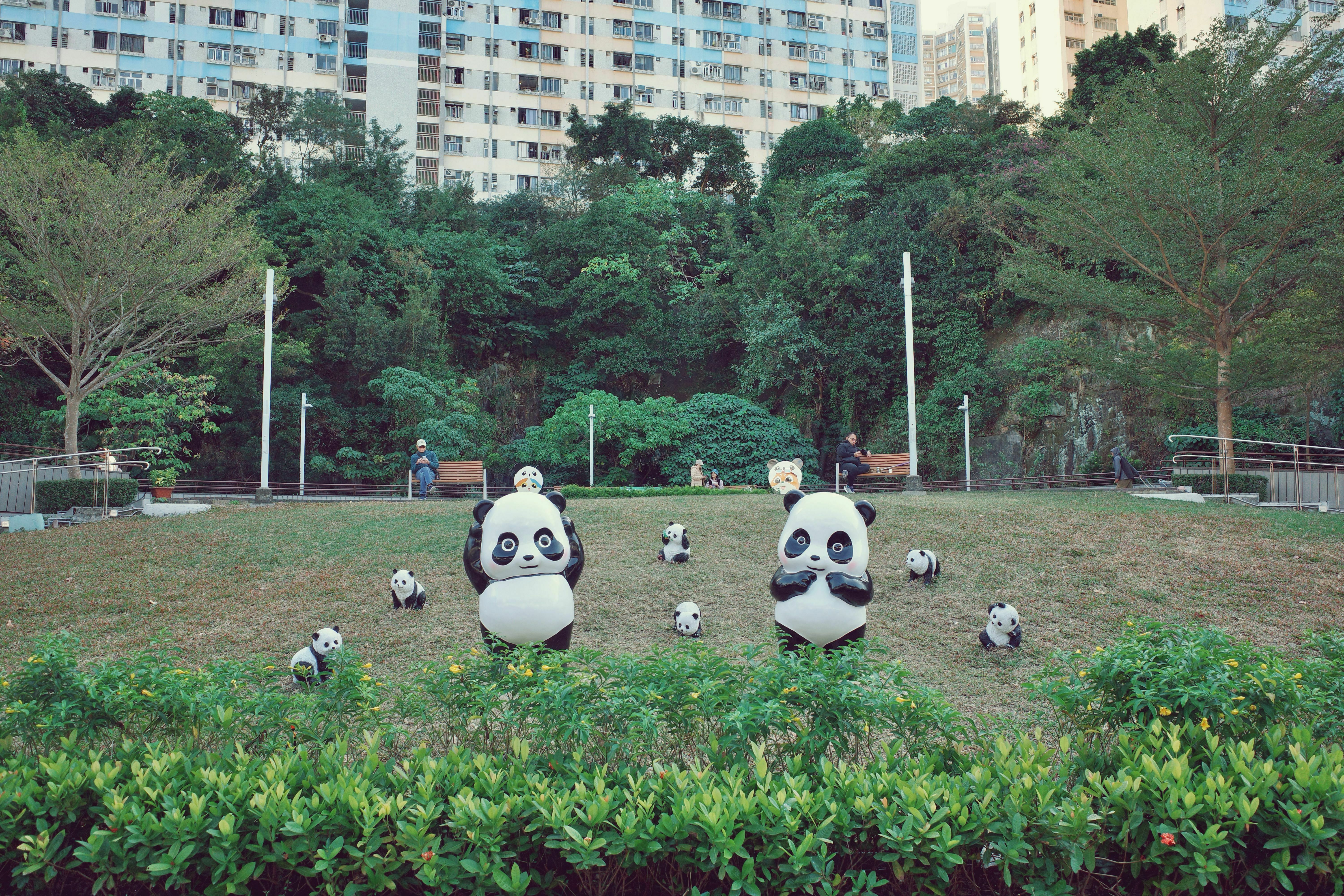 “熊猫旅游”