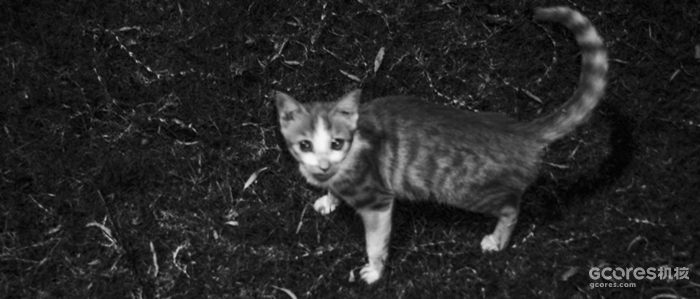 摄影分享丨这一年 摄影分享丨这一年