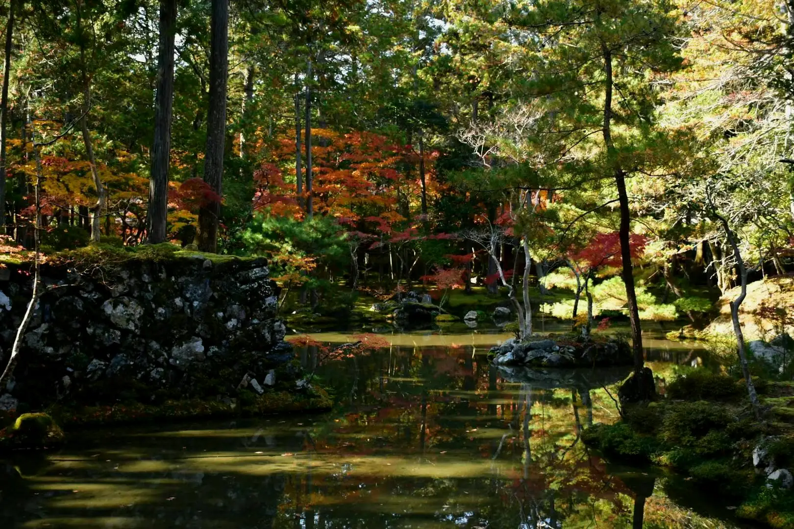 西芳寺庭院一角