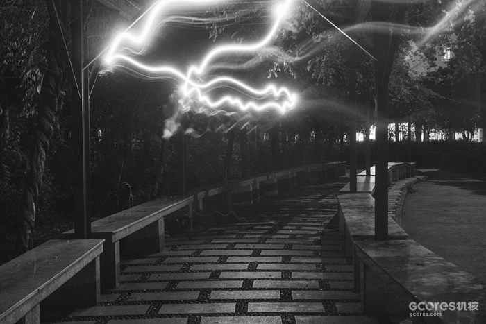 摄影分享丨这一年 摄影分享丨这一年