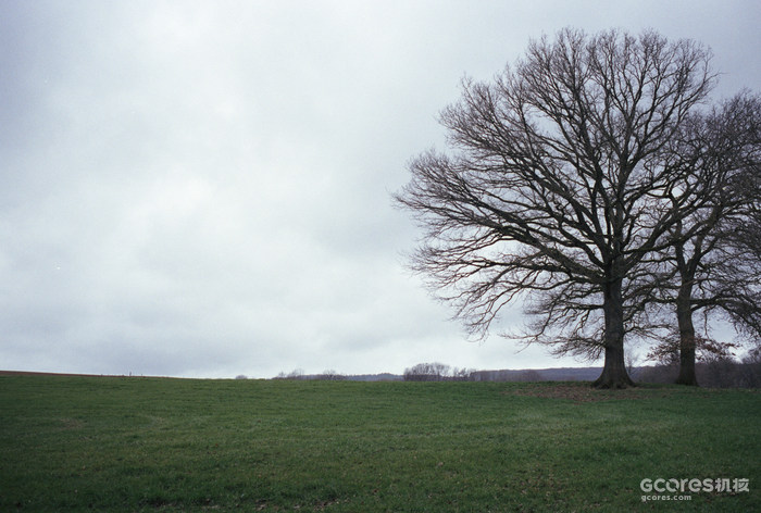摄影分享丨一卷平平无奇的胶片 摄影分享丨一卷平平无奇的胶片