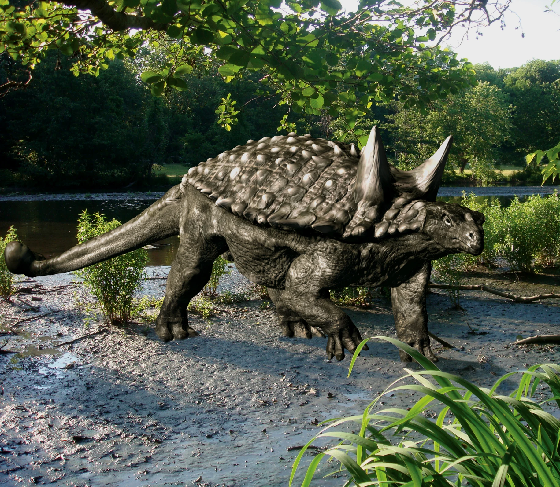 明星天池龙（Tianchisaurus nedegoapeferima），发现于中国头屯河组的小型甲龙。由于《侏罗纪公园》导演斯皮尔伯格赞助了相关科考，它的种名来自电影群星主演的姓名缩写，本来属名也要改成“侏罗龙”，最后还是沿用了地名命名法。