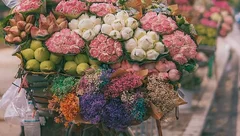 我与动漫的忆往追昔