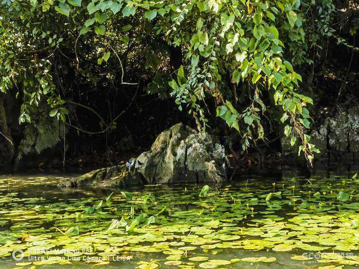 去阳朔玩的一些照片 去阳朔玩的一些照片