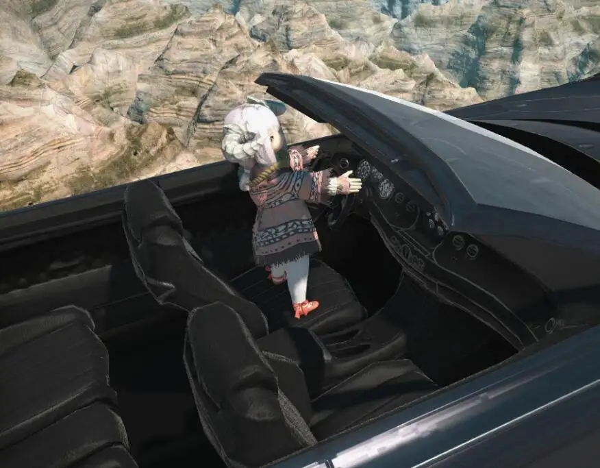 拉拉肥开车