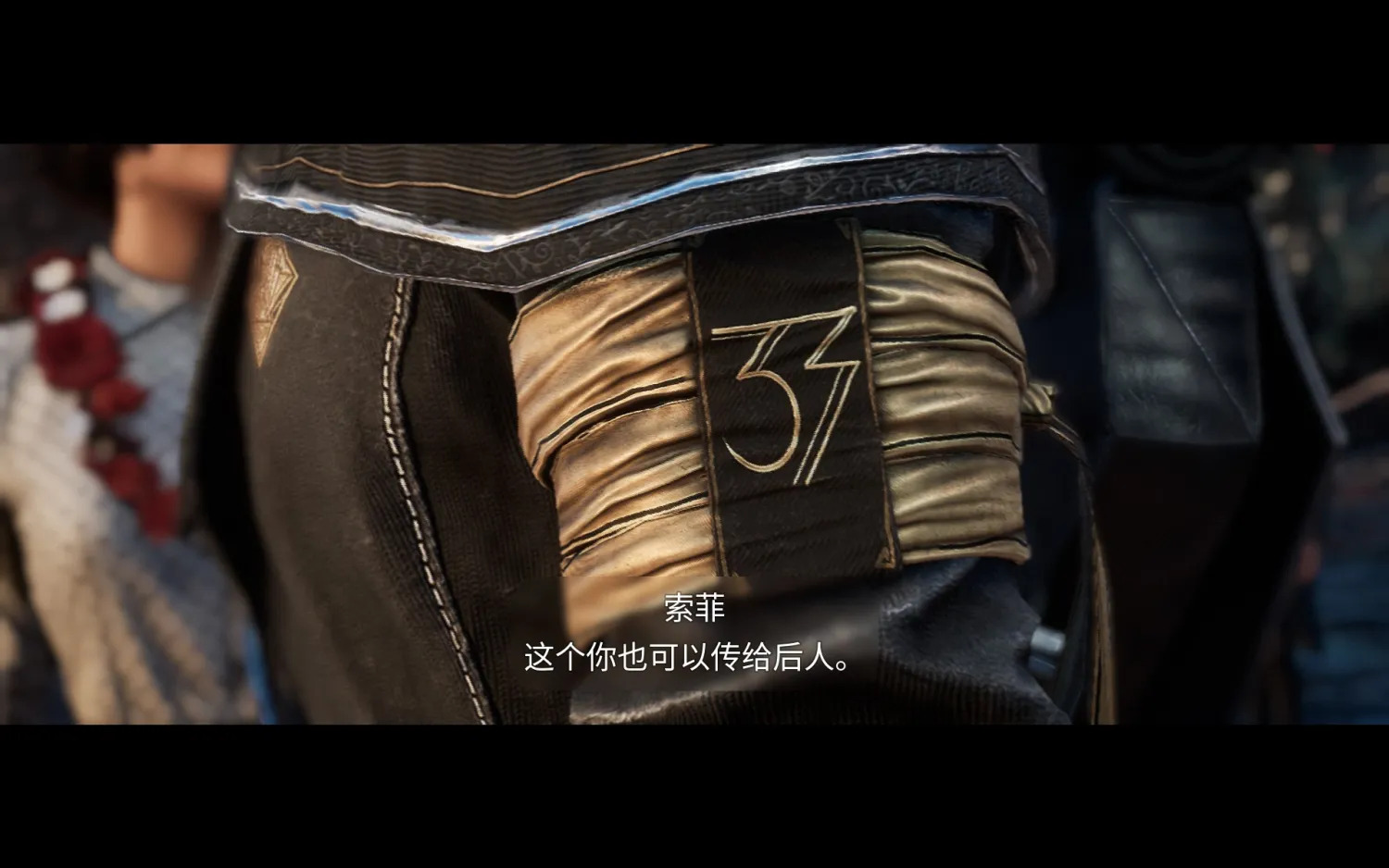 古斯塔夫作為33號遠征隊員的袖章