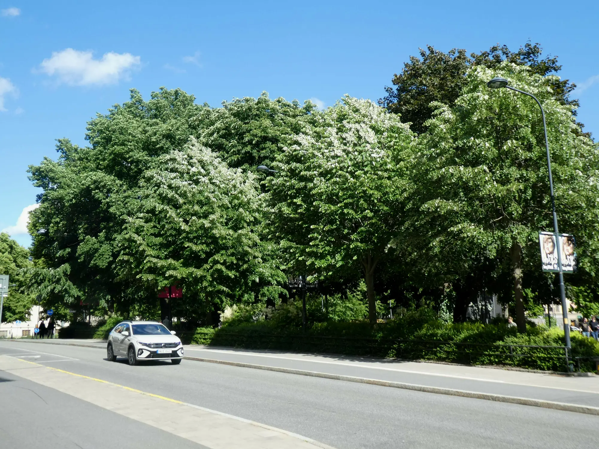 市中心附近的一条街道，紧邻北方火车站（Norra Bantorget）