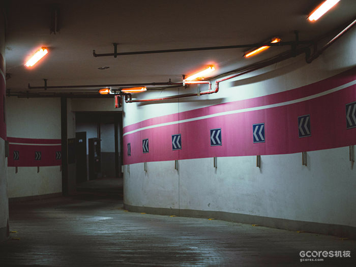 摄影分享丨这一年 摄影分享丨这一年