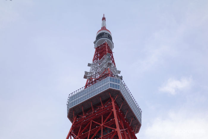 摄影丨东京印象 摄影丨东京印象