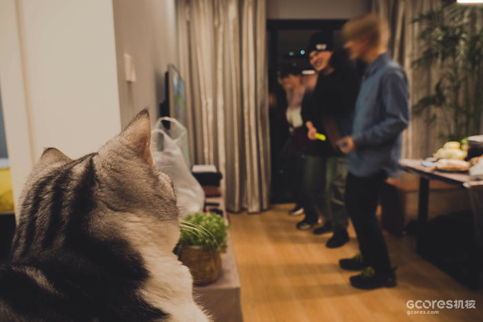 摄影分享丨这一年 摄影分享丨这一年