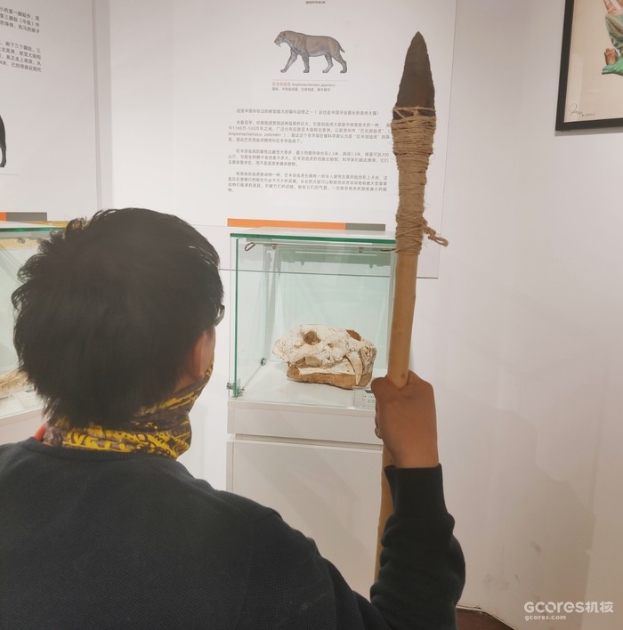 人生选项很丰富 点亮手工技能树 人生选项很丰富 点亮手工技能树