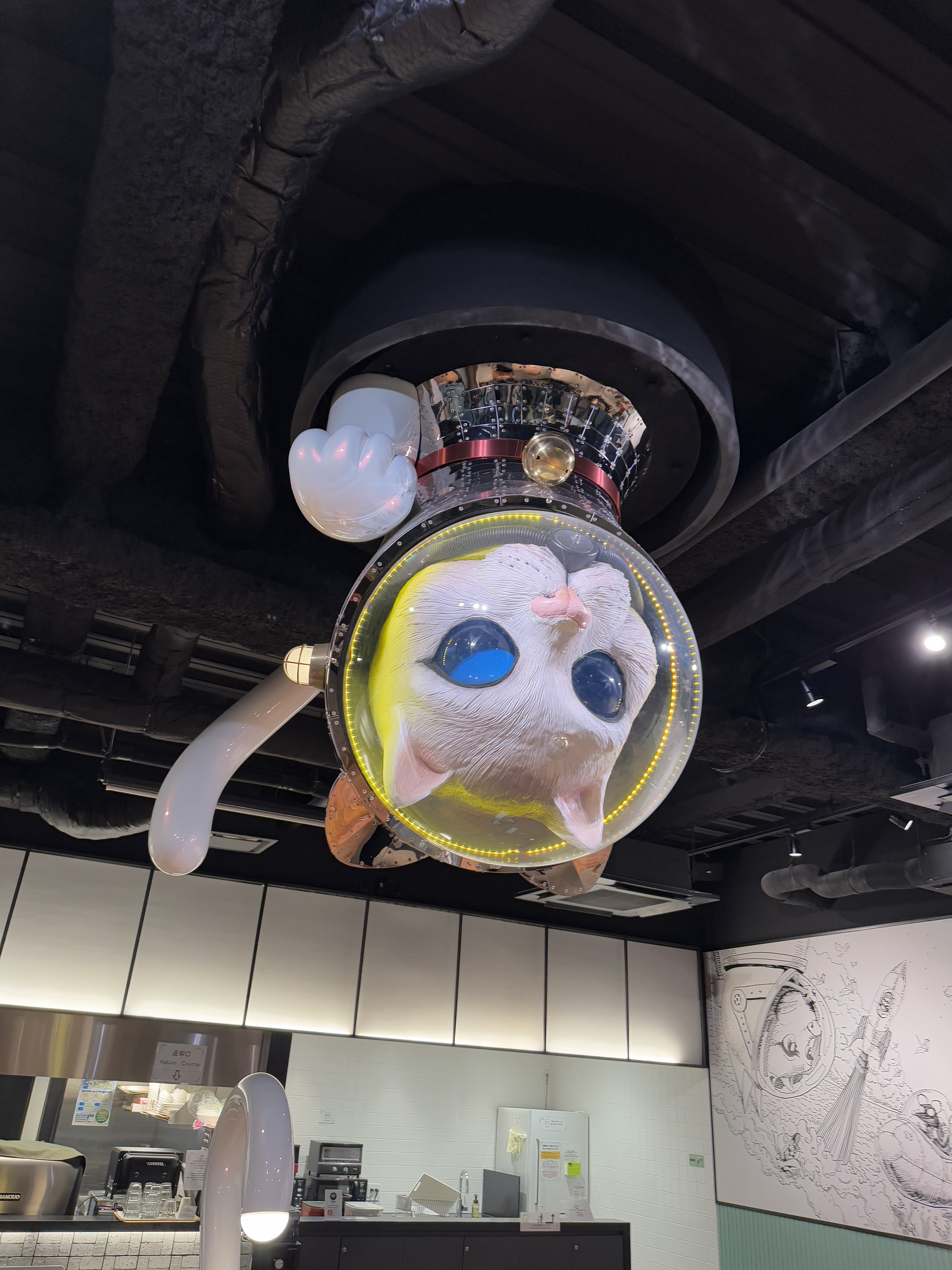 旅舍内部以喵星人的装潢为主题