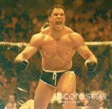 PRIDE FC 简史 pt.2 PRIDE FC 简史 pt.2