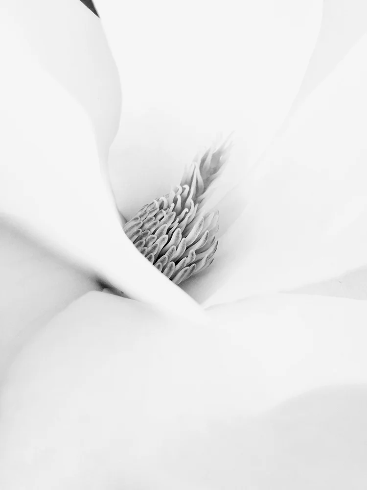 摄影师：Hongjun Ge