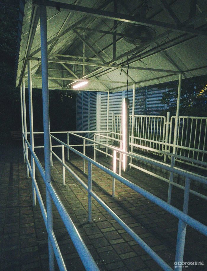 摄影分享丨这一年 摄影分享丨这一年