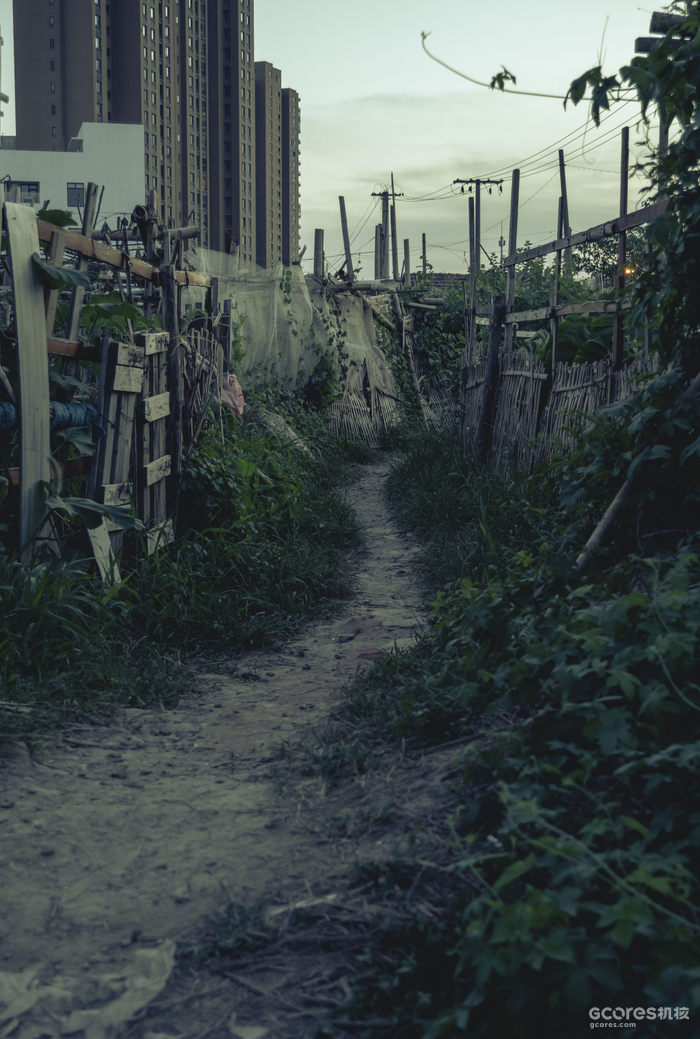 摄影分享丨这一年 摄影分享丨这一年