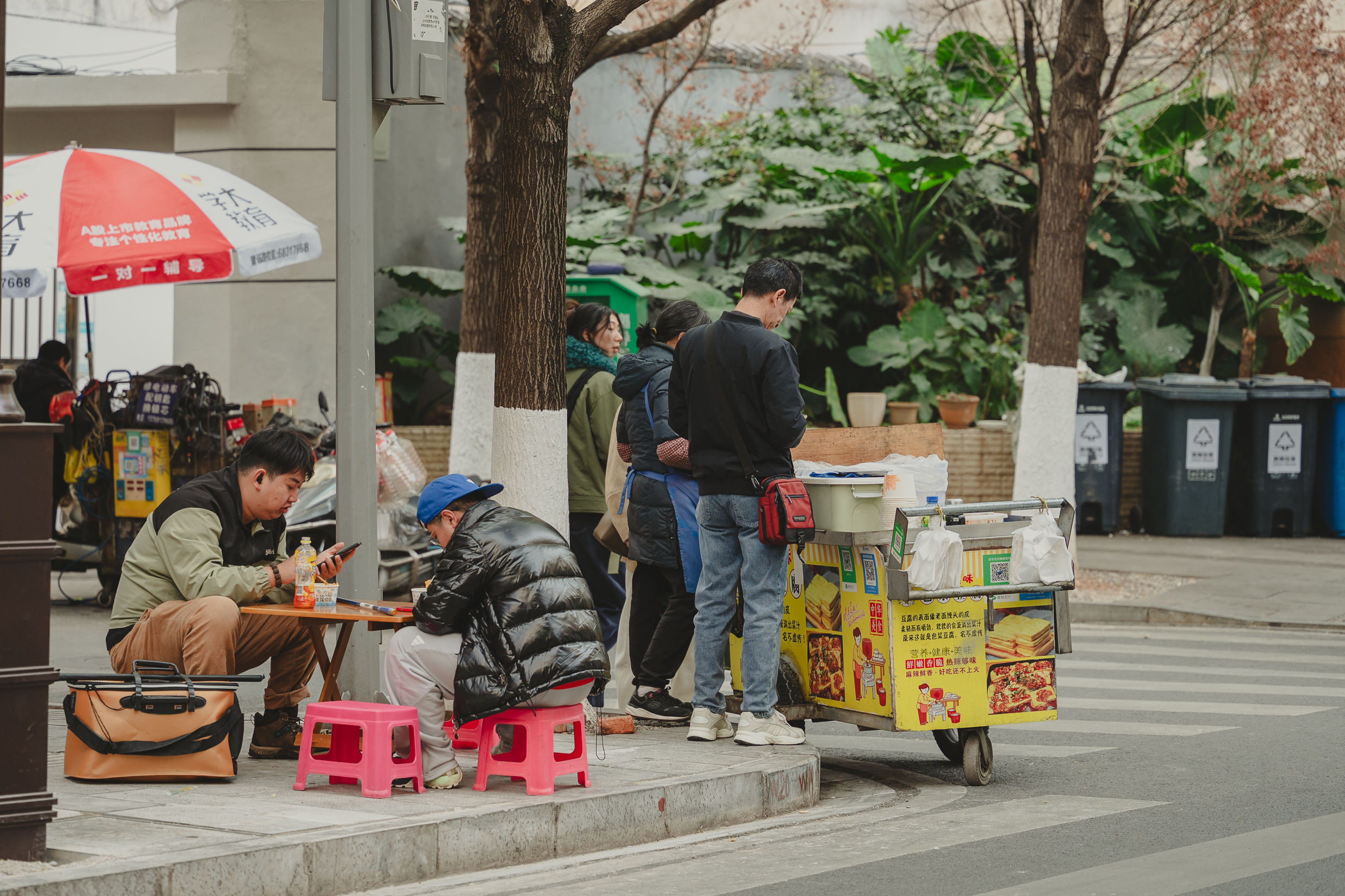 爆浆豆腐，少不了搭配折耳根