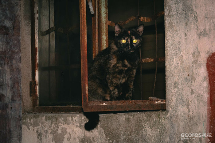 摄影分享丨这一年 摄影分享丨这一年