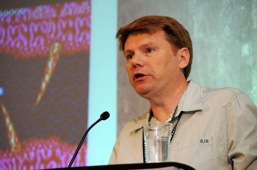 大衛·瓊斯（David Jones，1965.10—），蘇格蘭遊戲開發者，曾任R星北方工作室總經理，代表作《百戰小旅鼠》和初代《GTA》