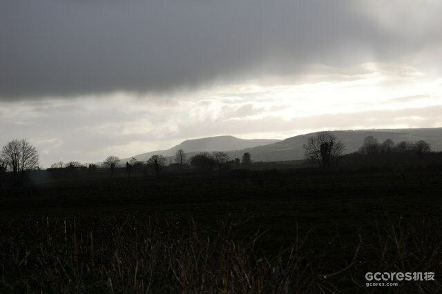 《哈利·波特》系列中的神秘植物考(四)(D系列) 《哈利·波特》系列中的神秘植物考(四)(D系列)