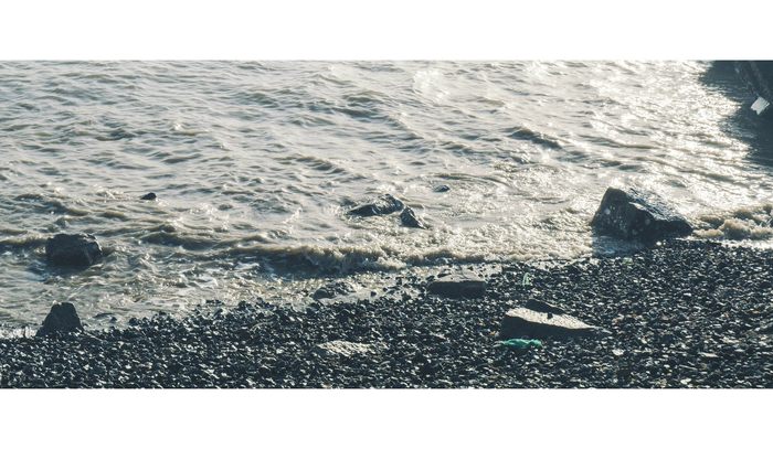 摄影分享丨这一年 摄影分享丨这一年