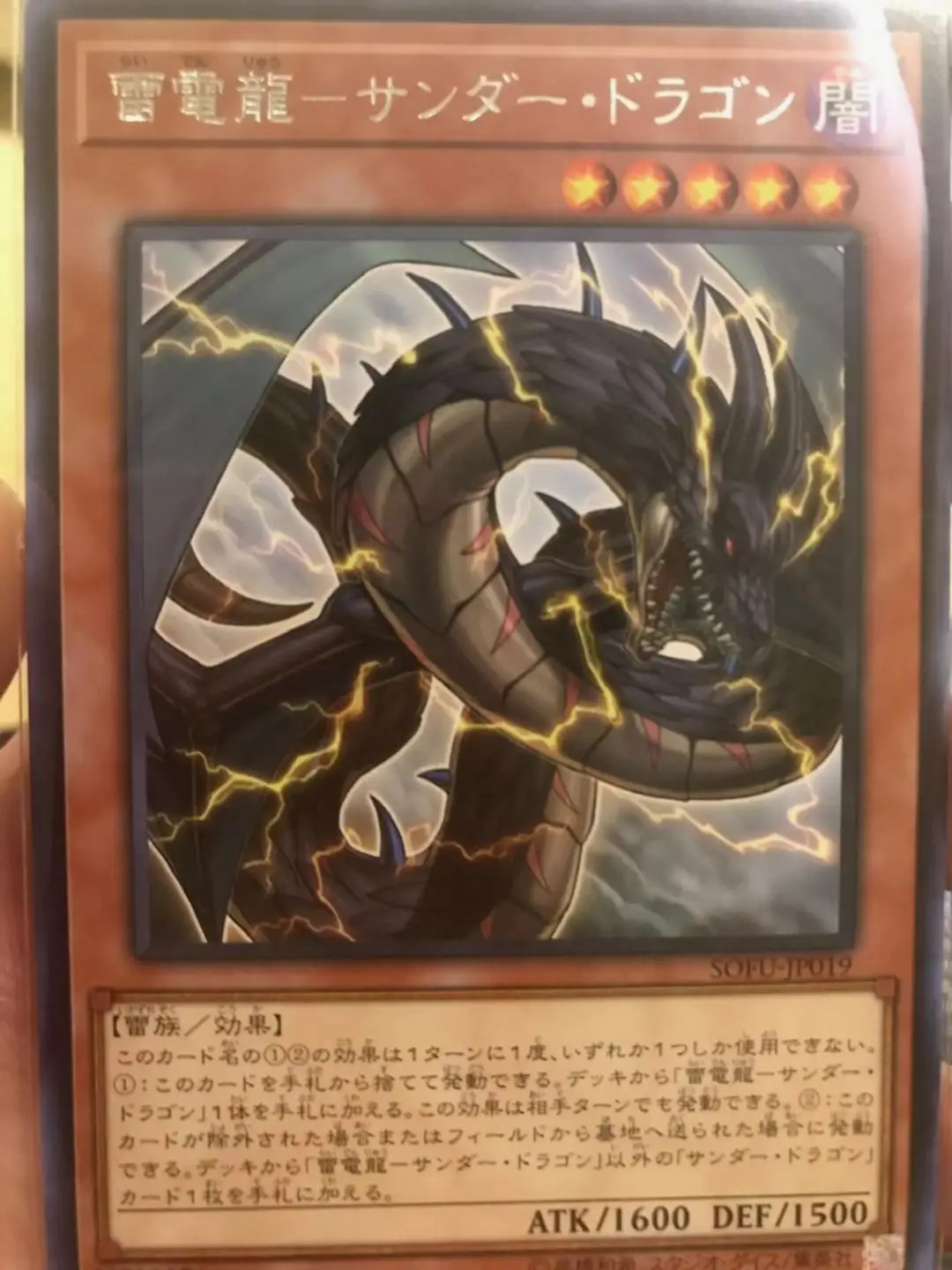 雷电龙 雷龙