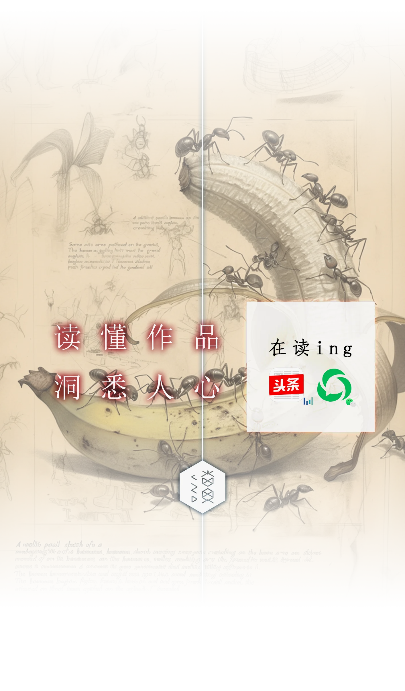 欢迎多渠道关注我们