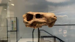 生活碎片