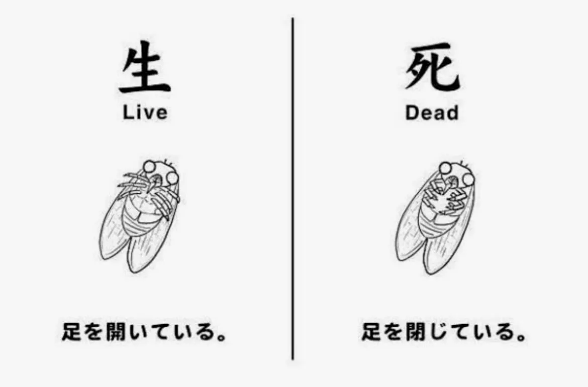 我发现粉色漫画app上的排行榜第三位是一本叫《寄生树》的重口本。 虽然说看本子的生理反应该来还是会来... | 机组 | 机核 GCORES