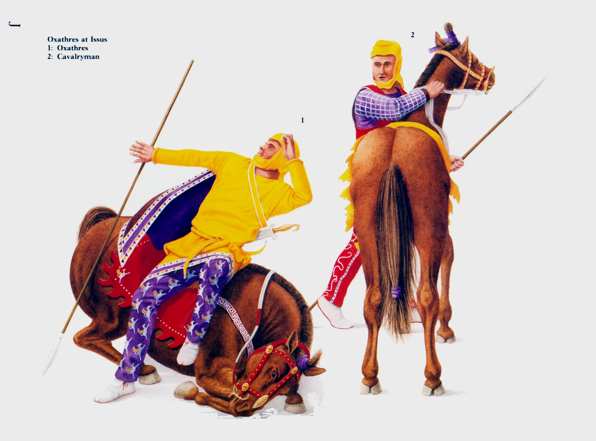 晚期波斯骑兵，基于伊苏斯镶嵌画复原