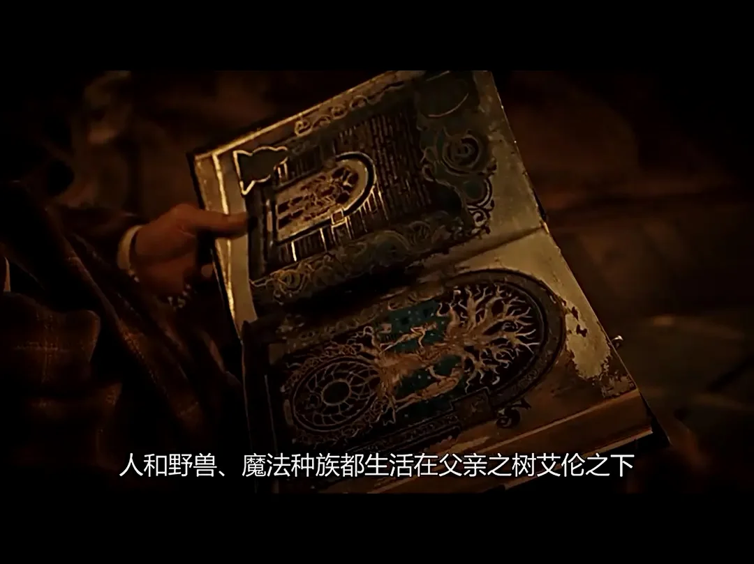 很多偏奇幻的世界观设定都会创造人类以外的其他种族