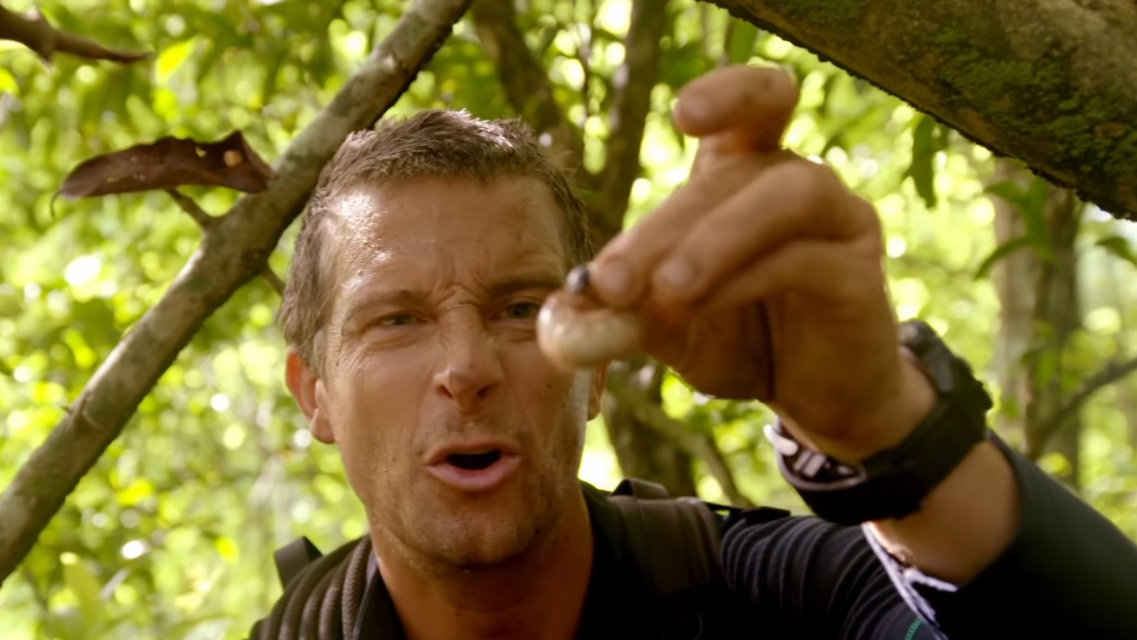 贝尔吃不吃大虫子由你决定netflix互动体验剧集youvswild放出正式预告