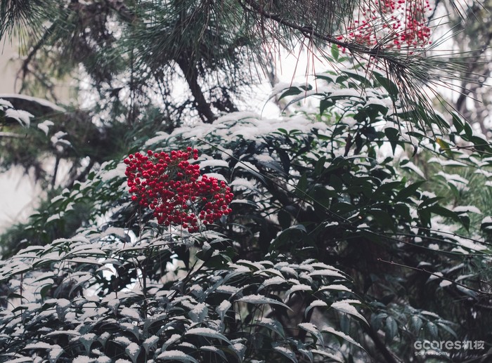 摄影分享丨这一年 摄影分享丨这一年