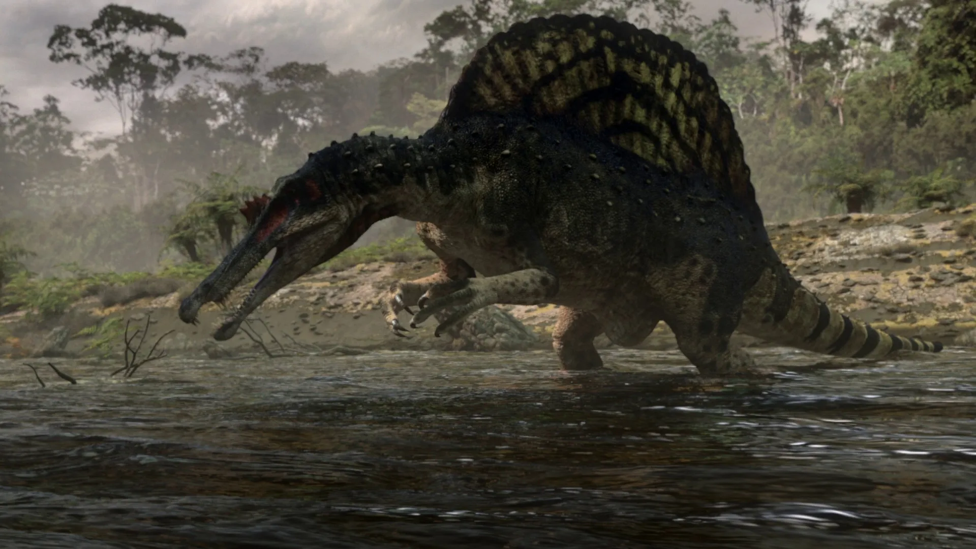 跟前者差不多一个时间段的《恐龙星球》里的棘龙倒是稍微科学了一些，战斗力也下降了不少，被帝鳄赶跑，被鲨齿龙咬断背棘（根据一个化石孤例），上岸只能抢腐肉，植食恐龙都吓不跑……