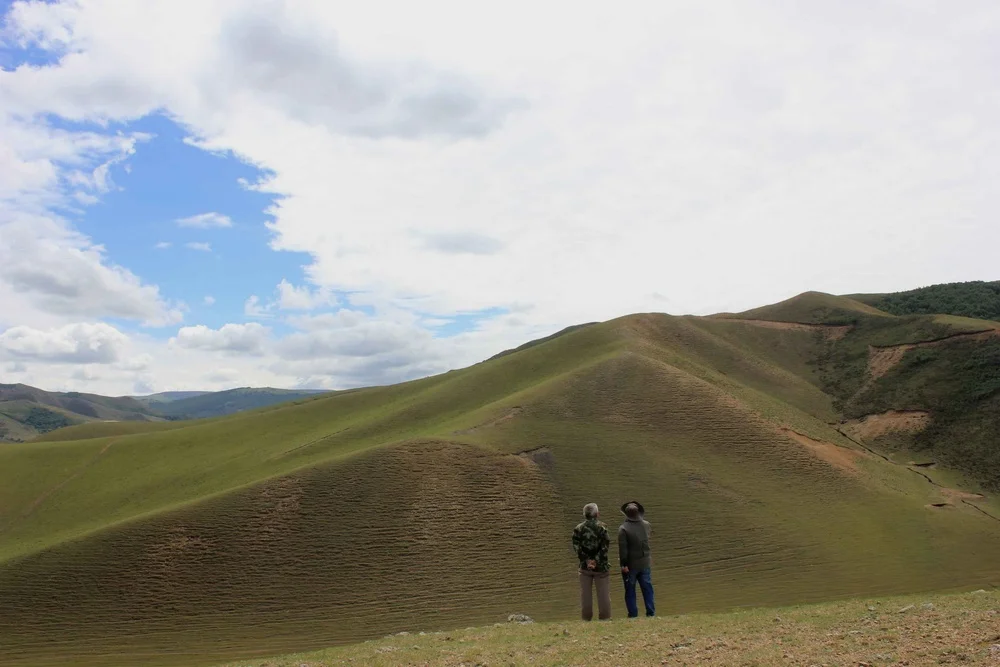 内蒙古赤峰草原