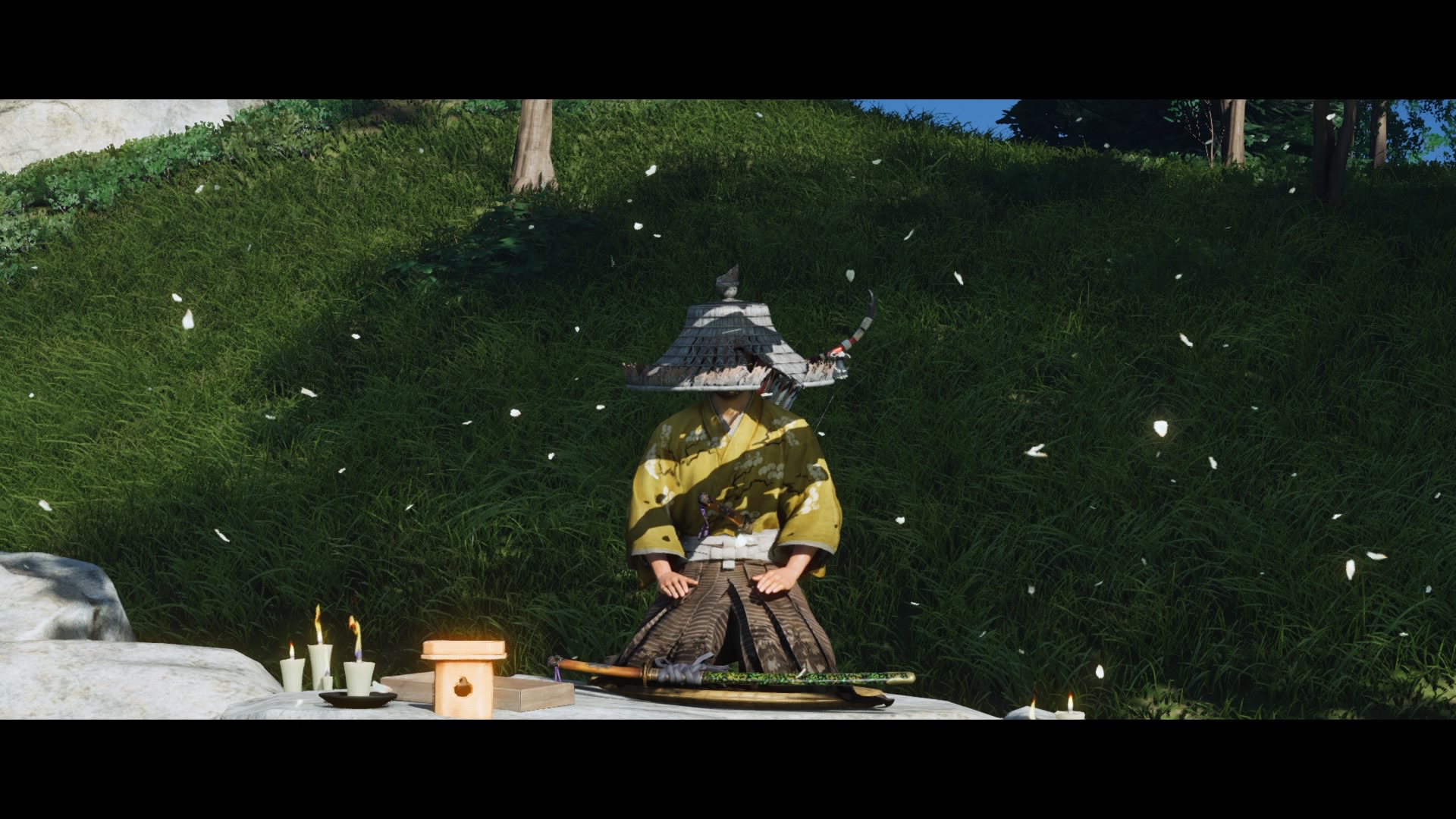 摄影分享丨刀光剑影