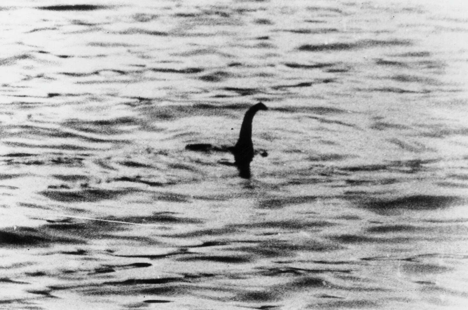 尼斯湖水怪（Loch Ness Monster），也被称为“Nessie”