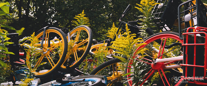 摄影分享丨这一年 摄影分享丨这一年