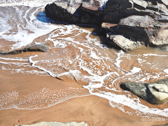 摄影分享丨这一年 摄影分享丨这一年