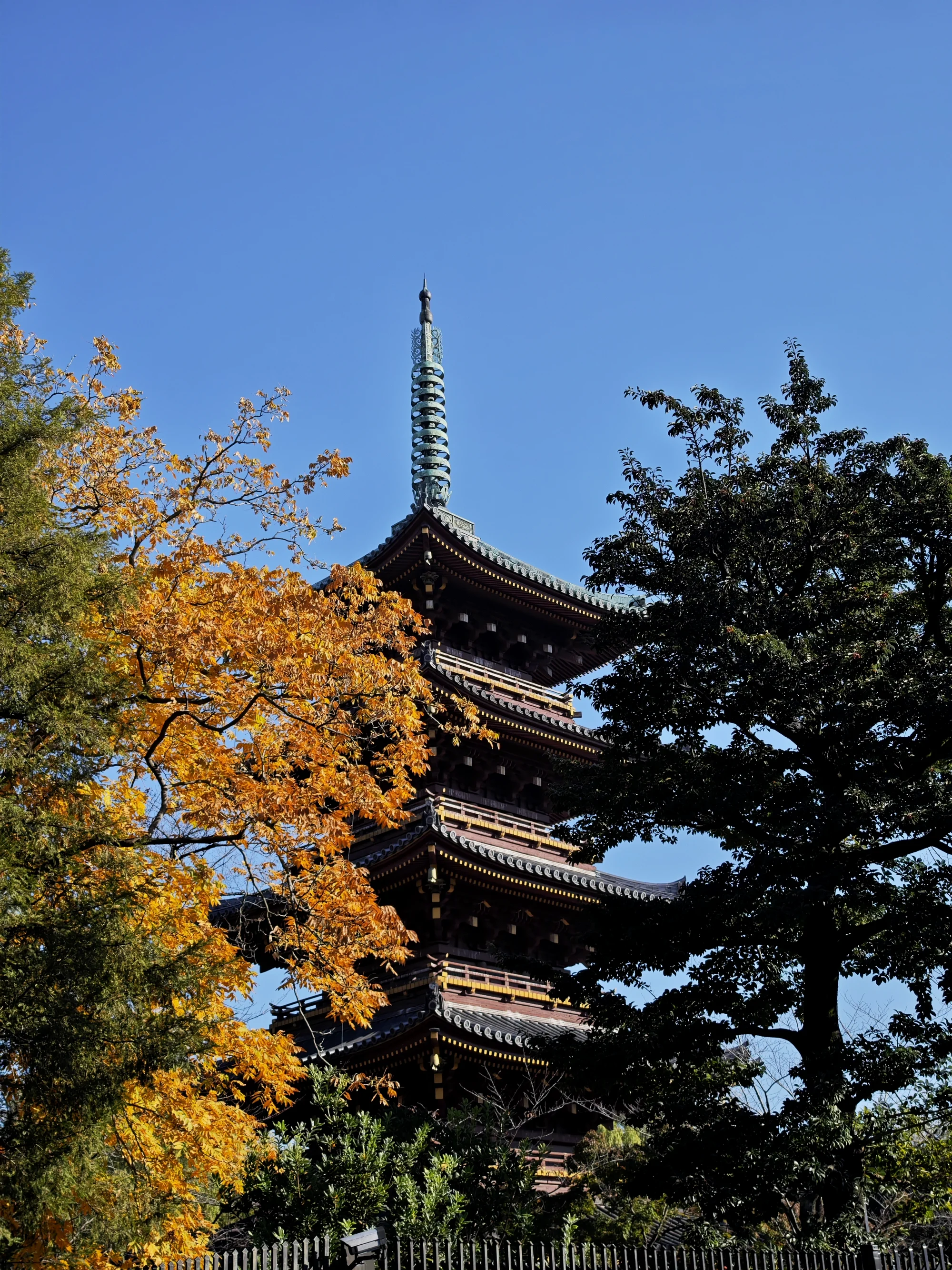 旧宽永寺所属的五重塔，现在上野动物园范围内