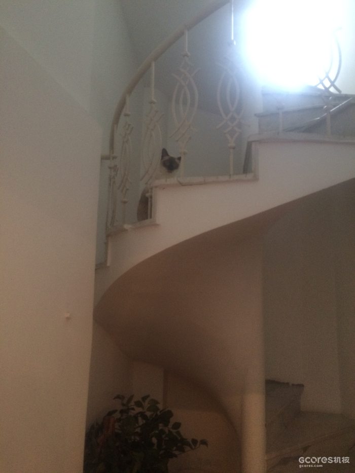 摄影分享丨巴库 摄影分享丨巴库