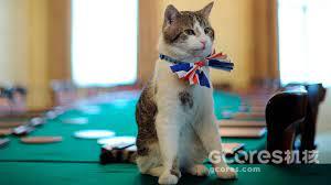 译介丨猫朋友世界博览:英伦公务猫 -古典时期的先驱者-
-是,捕鼠大臣-
-进入互联网时代-
-英国第一公务猫拉里(Larry)-
-后来又如何-
-编后记-