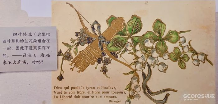 《哈利·波特》系列中的神秘植物考(四)(D系列) 《哈利·波特》系列中的神秘植物考(四)(D系列)