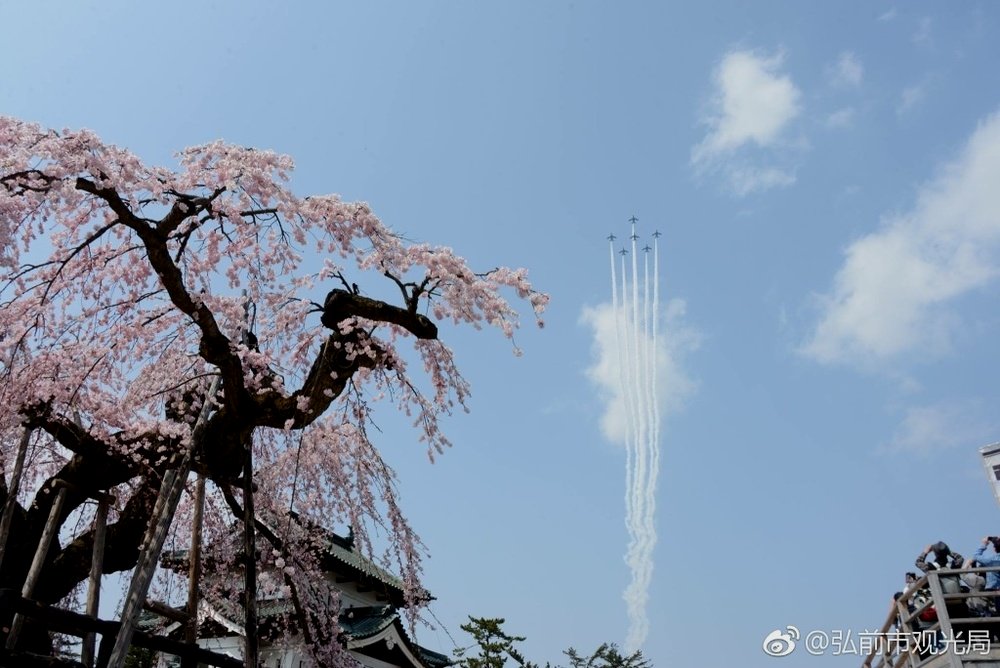 2018年弘前樱花祭开幕式上的蓝色冲击波表演队（图源见水印）