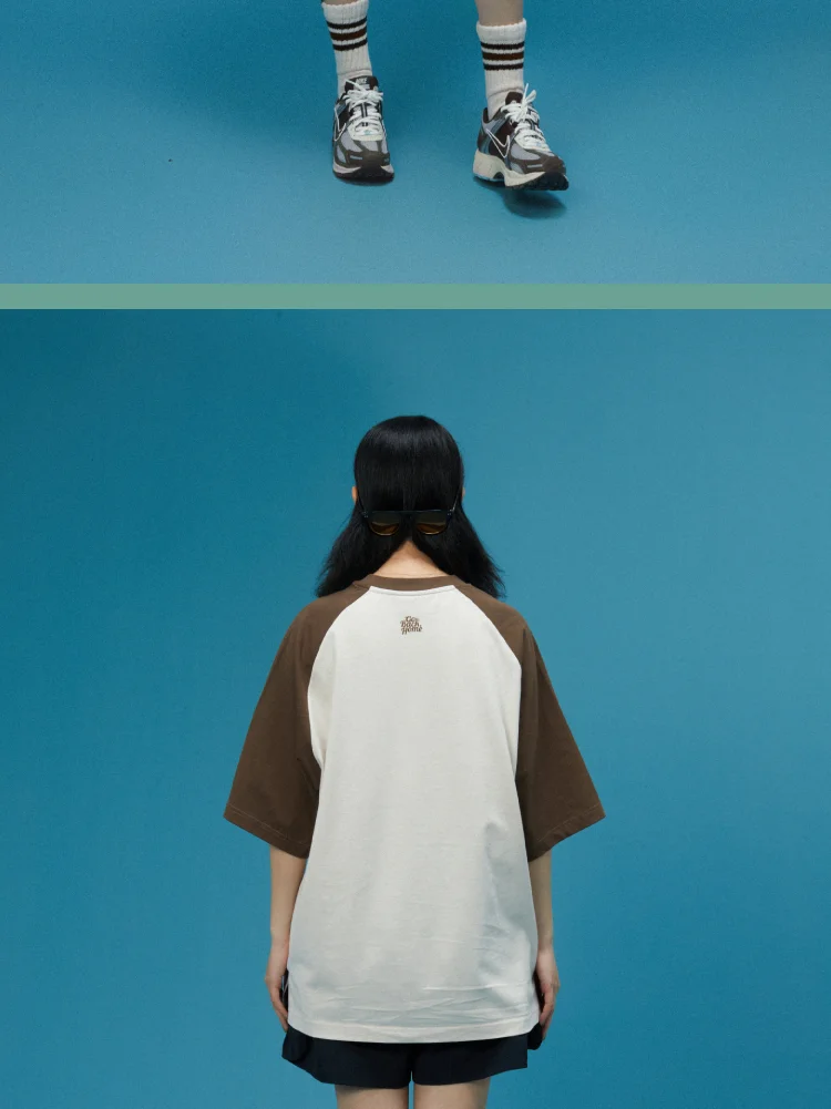 介绍图片