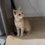 浅雨