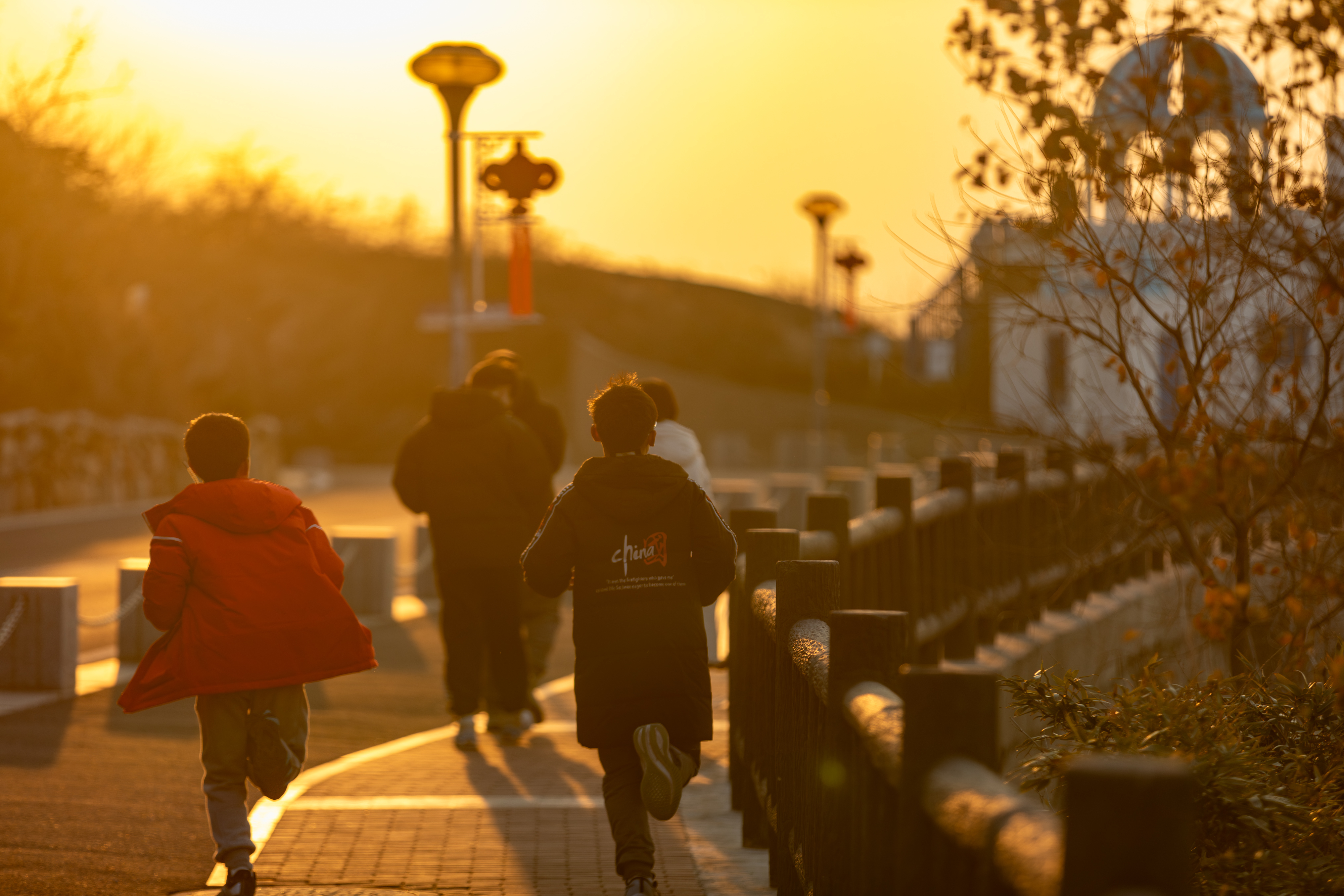 那个冬天夕阳下的奔跑.CR2