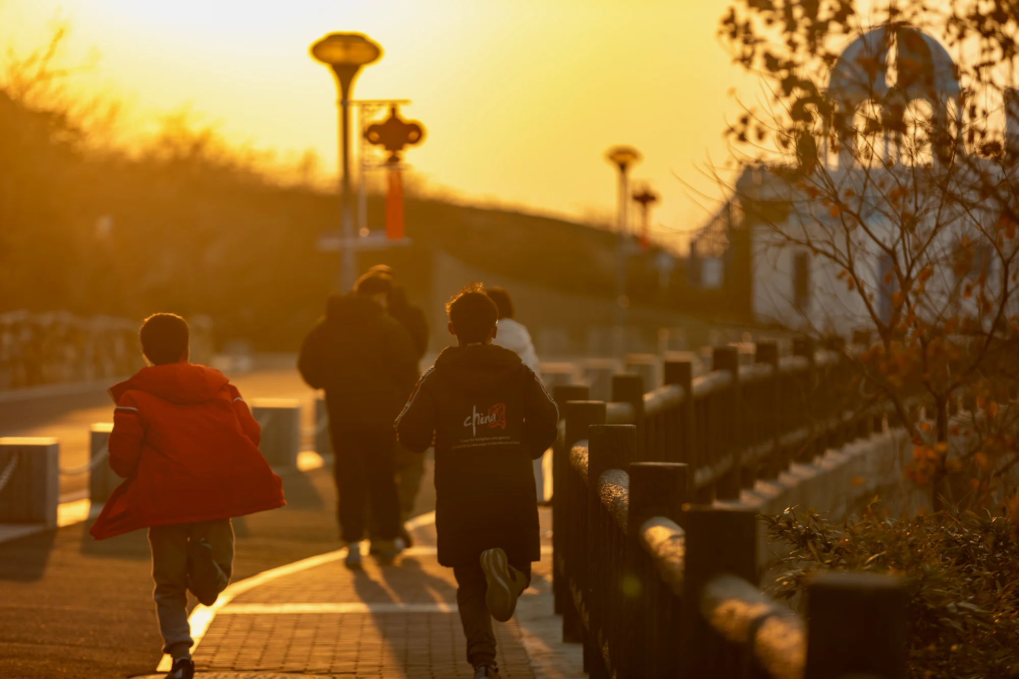 那个冬天夕阳下的奔跑.CR2